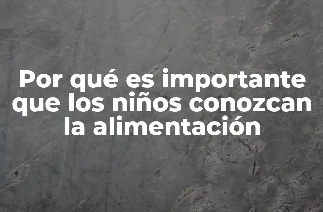 Por Qué es Importante que los Niños Conozcan la Alimentación