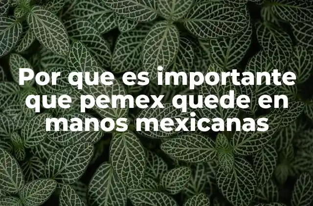 Por que es Importante que Pemex Quede en Manos Mexicanas