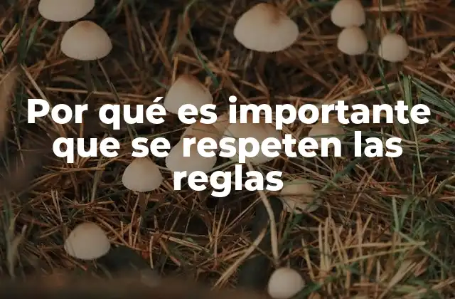 El impacto del respeto a las normas en la sociedad