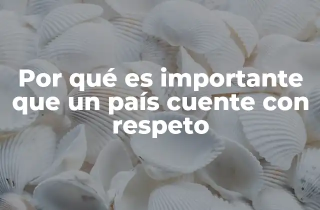 Por Qué es Importante que un País Cuente con Respeto