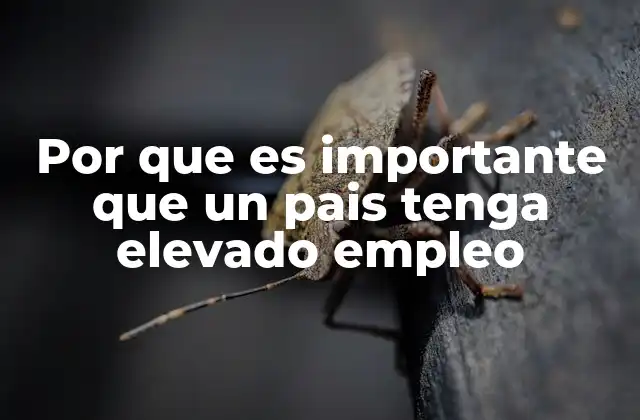 Por que es Importante que un Pais Tenga Elevado Empleo