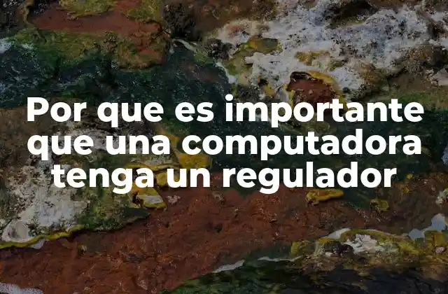 Por que es Importante que una Computadora Tenga un Regulador