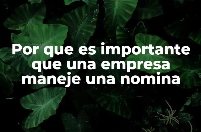 Por que es Importante que una Empresa Maneje una Nomina