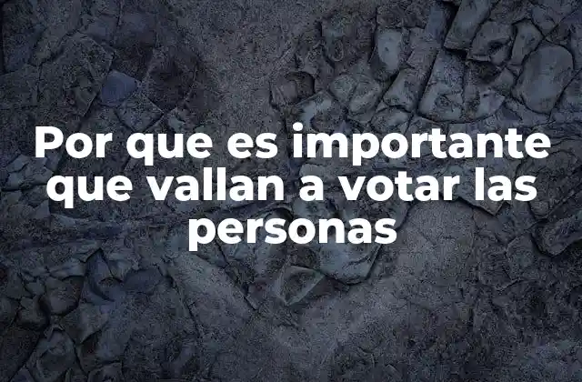 Por que es Importante que Vallan a Votar las Personas