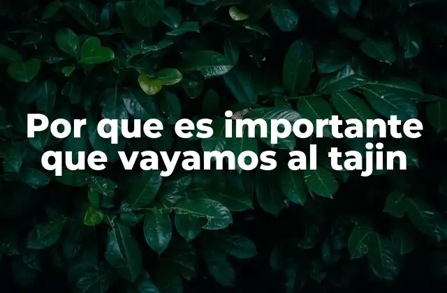 Por que es Importante que Vayamos Al Tajin