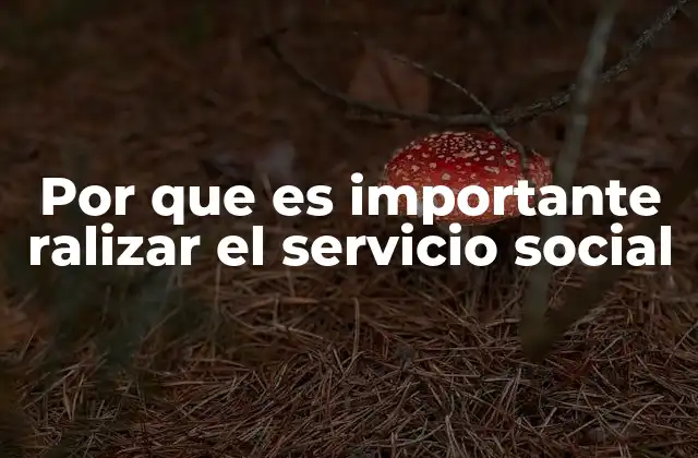 Por que es Importante Ralizar el Servicio Social