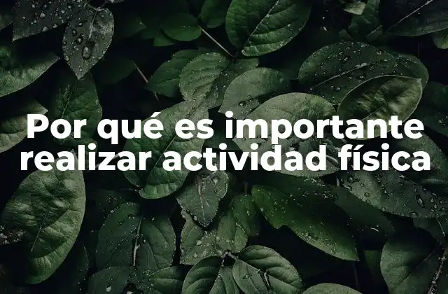 Por Qué es Importante Realizar Actividad Física