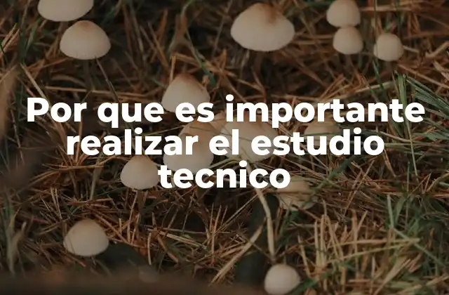 Por que es Importante Realizar el Estudio Tecnico