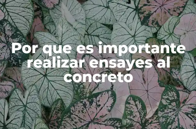 Por que es Importante Realizar Ensayes Al Concreto