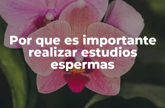 Por que es Importante Realizar Estudios Espermas