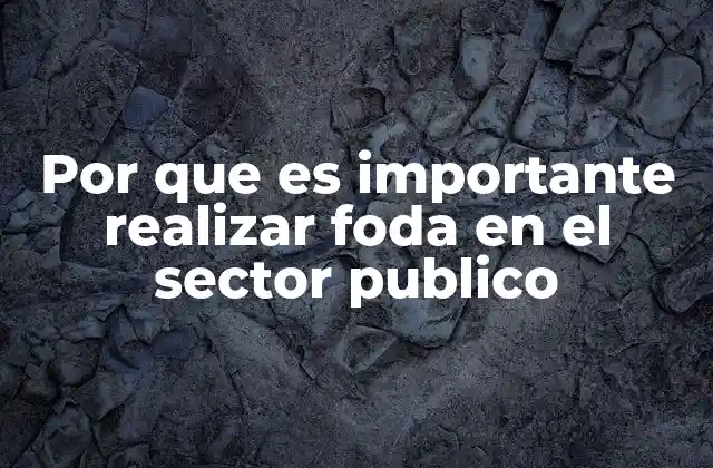 Por que es Importante Realizar Foda en el Sector Publico