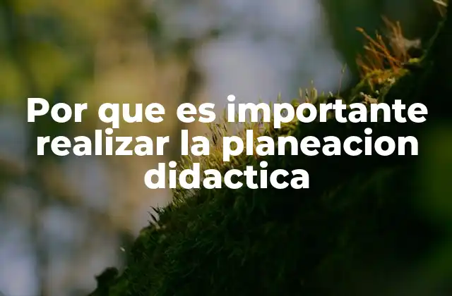 Por que es Importante Realizar la Planeacion Didactica