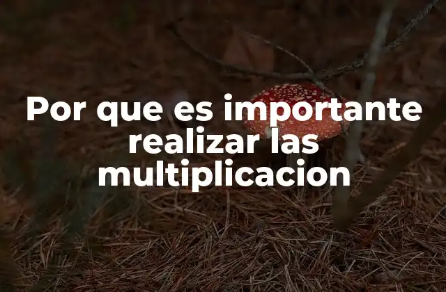 Por que es Importante Realizar las Multiplicacion