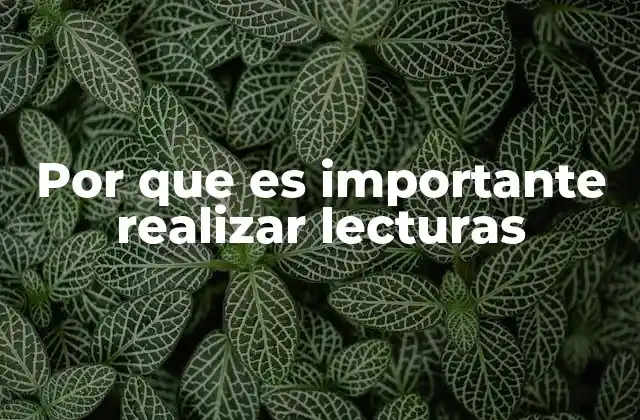 Por que es Importante Realizar Lecturas