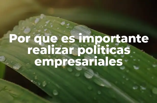 Por que es Importante Realizar Politicas Empresariales
