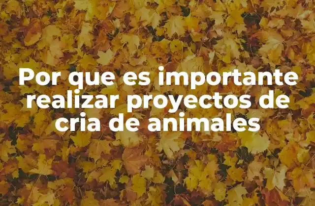 Por que es Importante Realizar Proyectos de Cria de Animales