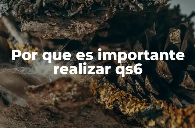 Por que es Importante Realizar Qs6