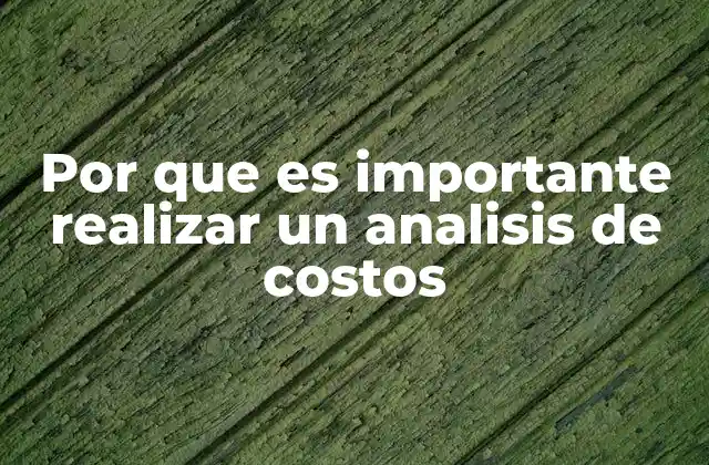 Por que es Importante Realizar un Analisis de Costos