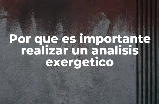 Por que es Importante Realizar un Analisis Exergetico
