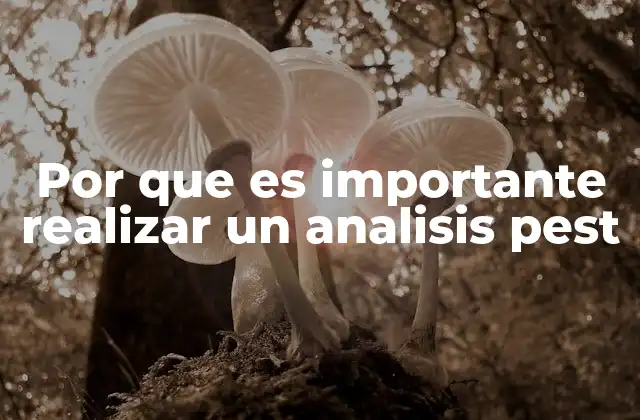 Por que es Importante Realizar un Analisis Pest