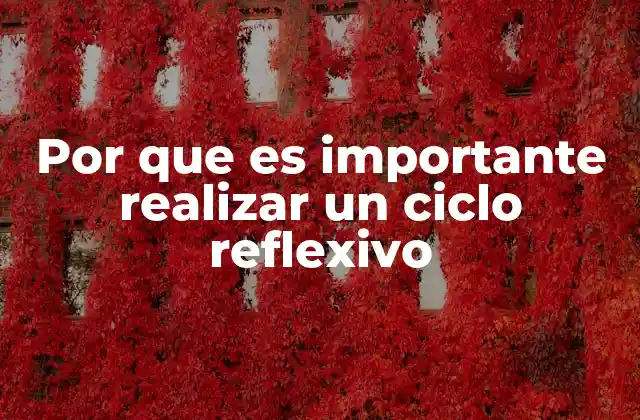 Por que es Importante Realizar un Ciclo Reflexivo