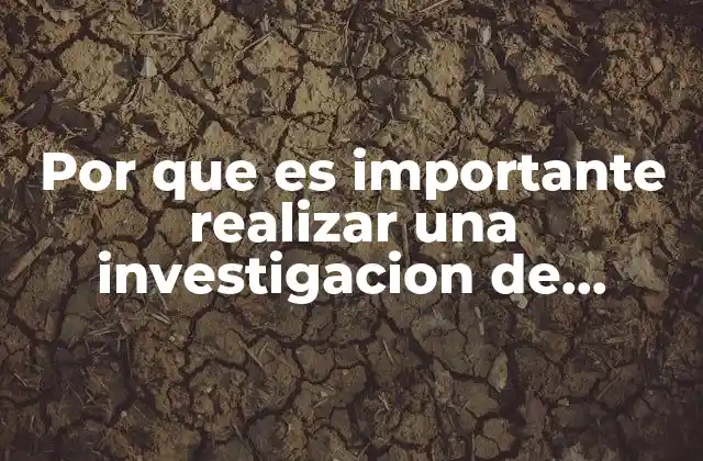 Por que es Importante Realizar una Investigacion de Mercado