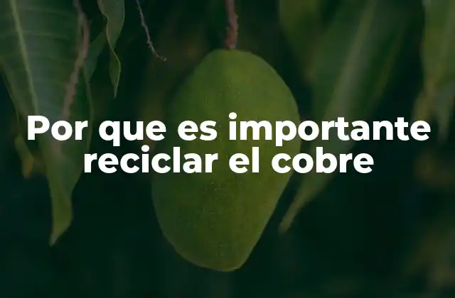 Por que es Importante Reciclar el Cobre