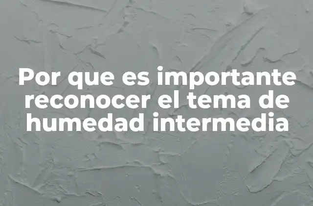 La importancia del equilibrio hídrico en espacios interiores