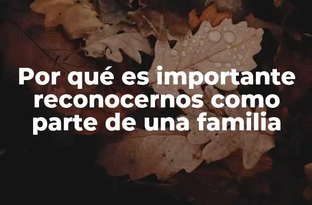 Por Qué es Importante Reconocernos como Parte de una Familia 2 El impacto emocional de la pertenencia familiar