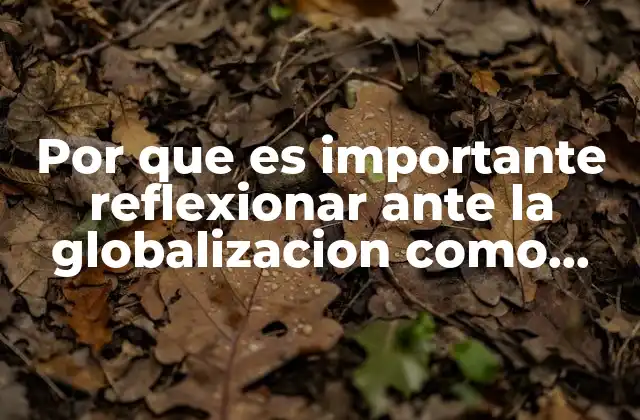 Por que es Importante Reflexionar ante la Globalizacion como Estudiante