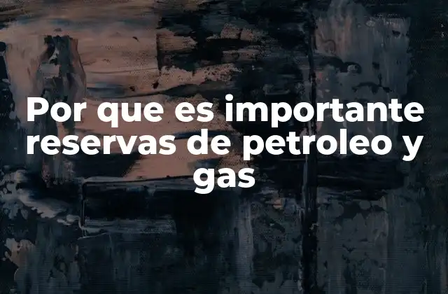 Por que es Importante Reservas de Petroleo y Gas