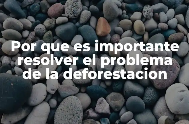 Por que es Importante Resolver el Problema de la Deforestacion