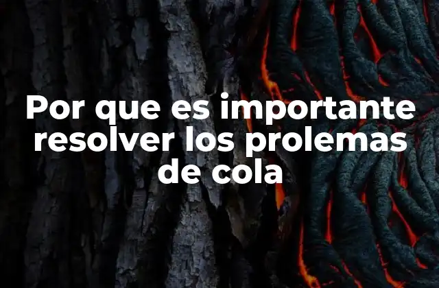 Por que es Importante Resolver los Prolemas de Cola 2 La importancia de la gestión de colas en sistemas operativos