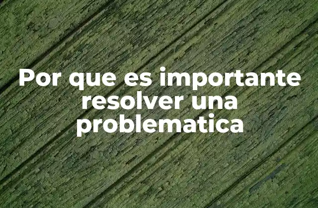 Por que es Importante Resolver una Problematica