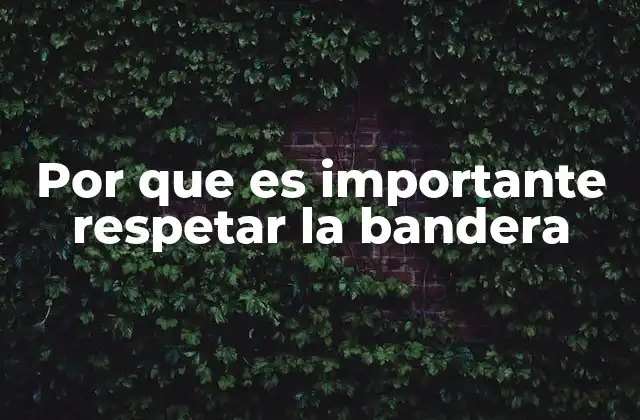 Por que es Importante Respetar la Bandera