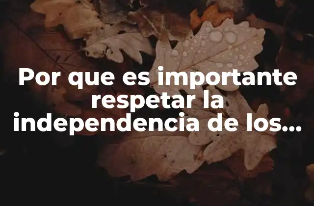 Por que es Importante Respetar la Independencia de los Estados
