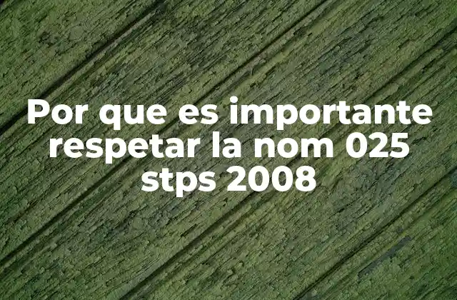 Por que es Importante Respetar la Nom 025 Stps 2008
