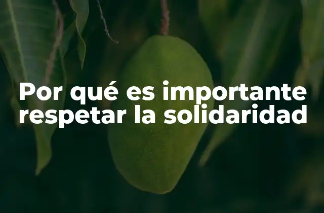 Por Qué es Importante Respetar la Solidaridad