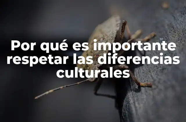 Por Qué es Importante Respetar las Diferencias Culturales