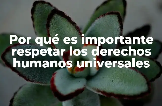 Por Qué es Importante Respetar los Derechos Humanos Universales