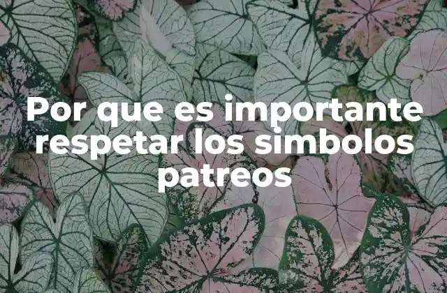 Por que es Importante Respetar los Simbolos Patreos 2 El rol de los símbolos patrios en la formación cívica