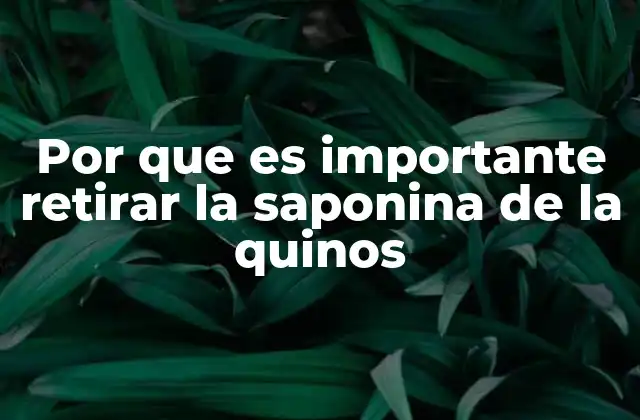 Por que es Importante Retirar la Saponina de la Quinos