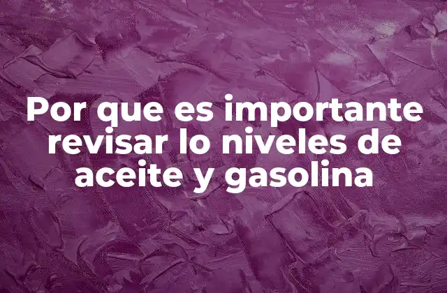 Por que es Importante Revisar Lo Niveles de Aceite y Gasolina