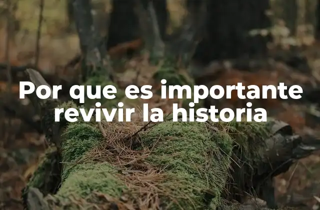 Por que es Importante Revivir la Historia