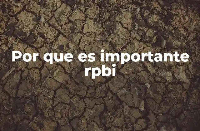 Por que es Importante Rpbi