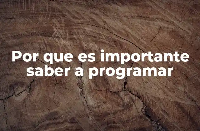 Por que es Importante Saber a Programar
