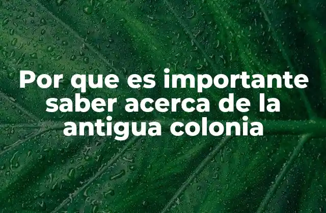 Por que es Importante Saber Acerca de la Antigua Colonia