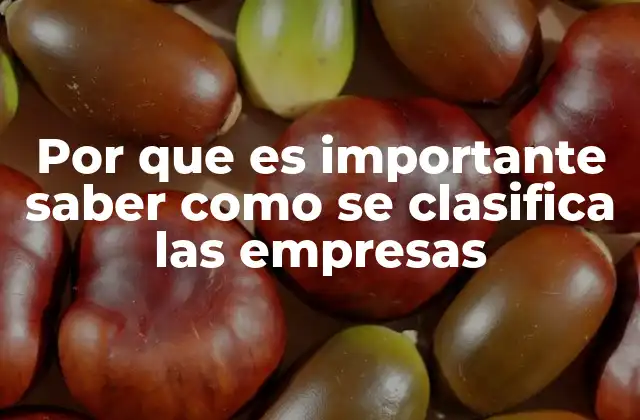 Por que es Importante Saber como Se Clasifica las Empresas