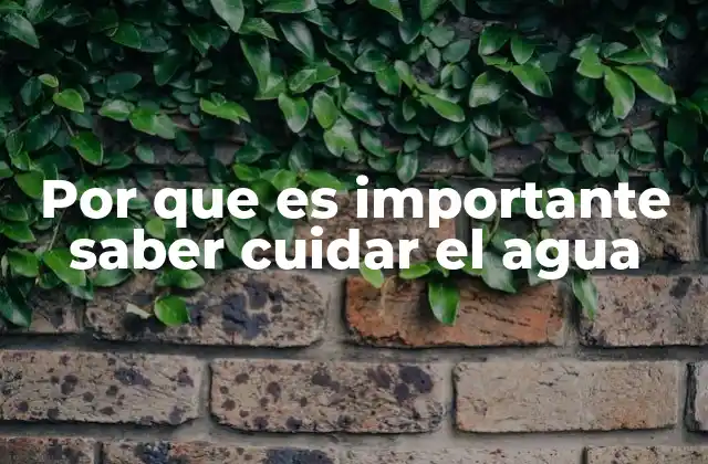 Por que es Importante Saber Cuidar el Agua