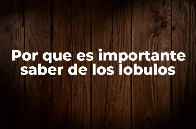 Cómo el cerebro humano se divide en lóbulos y qué nos enseña esto sobre nosotros mismos